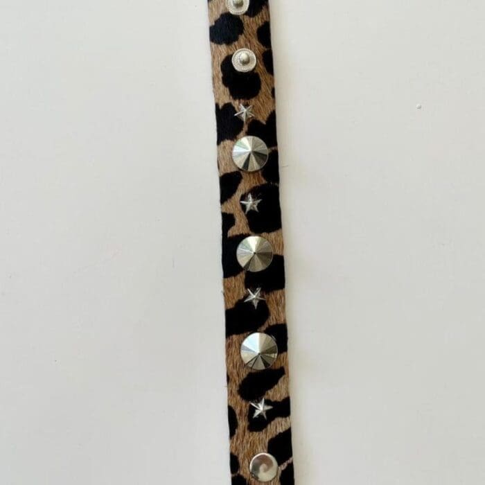 Pulsera stars